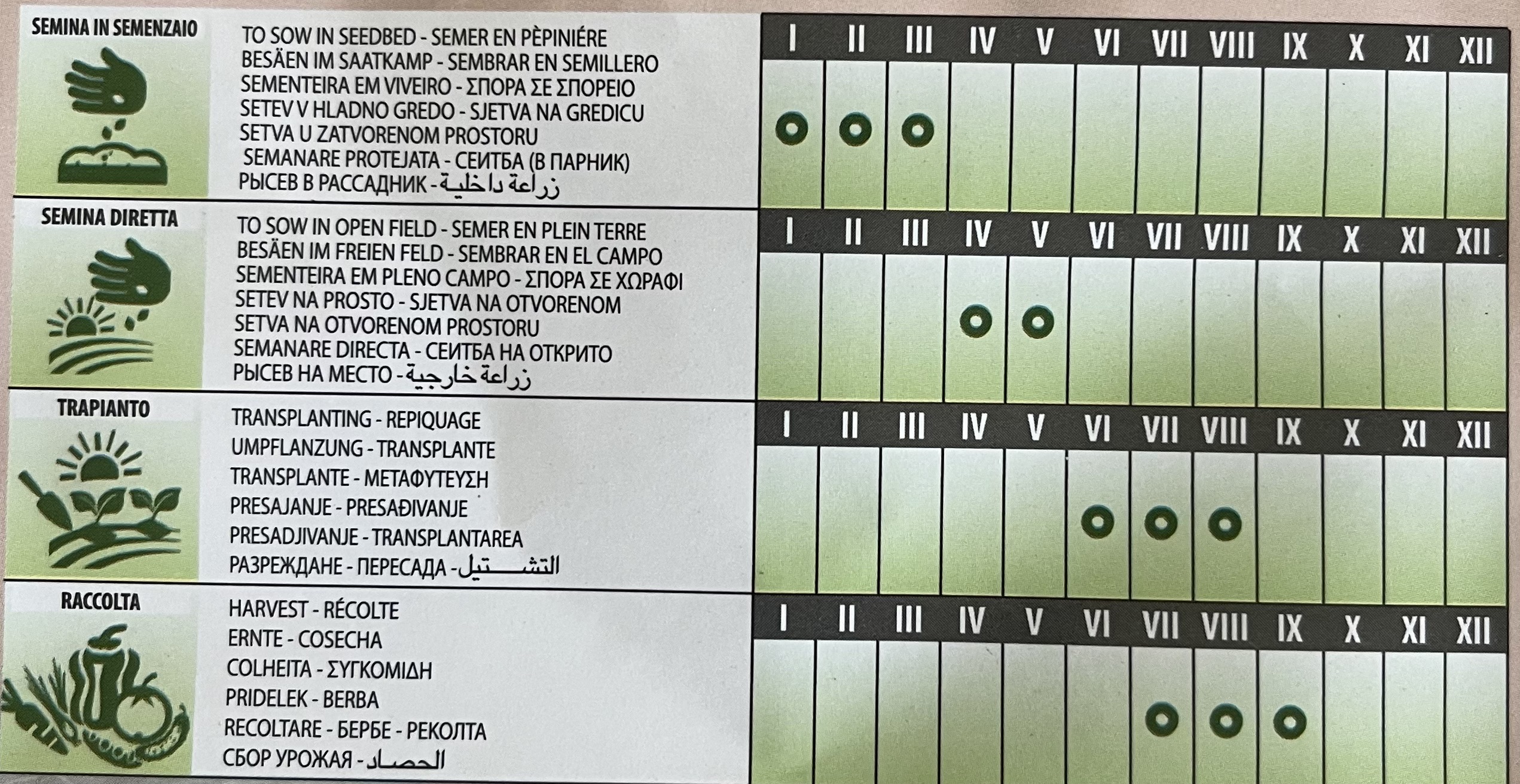 Semi Di Pomodoro San Marzano Cimelio – 40+ Semi Del 2020 (Alta Germinabilità)